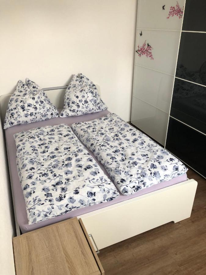 Ferienwohnung Janson Wiesenbach 外观 照片